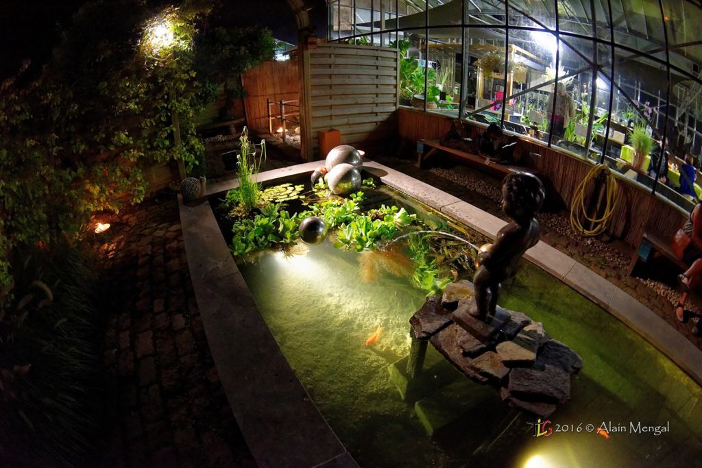 Éclairage pour étang > Aquiflor - Jardinerie Aquatique