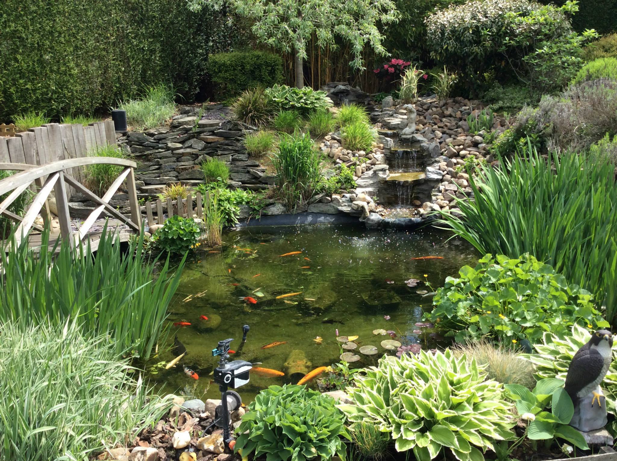 HPDONM Revêtement d'étang en Caoutchouc, Bâche D'étang Bache pour Bassin  Exterieur pour Étangs De Poisson, Bassin de Jardin, Réservoir,9×9m :  : Jardin