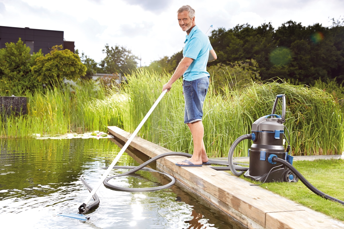 8 conseils indispensables pour une eau claire et limpide en septembre >  Aquiflor - Jardinerie Aquatique