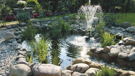 La pose d'un bassin préformé pour créer un étang dans son jardin > Aquiflor  - Jardinerie Aquatique
