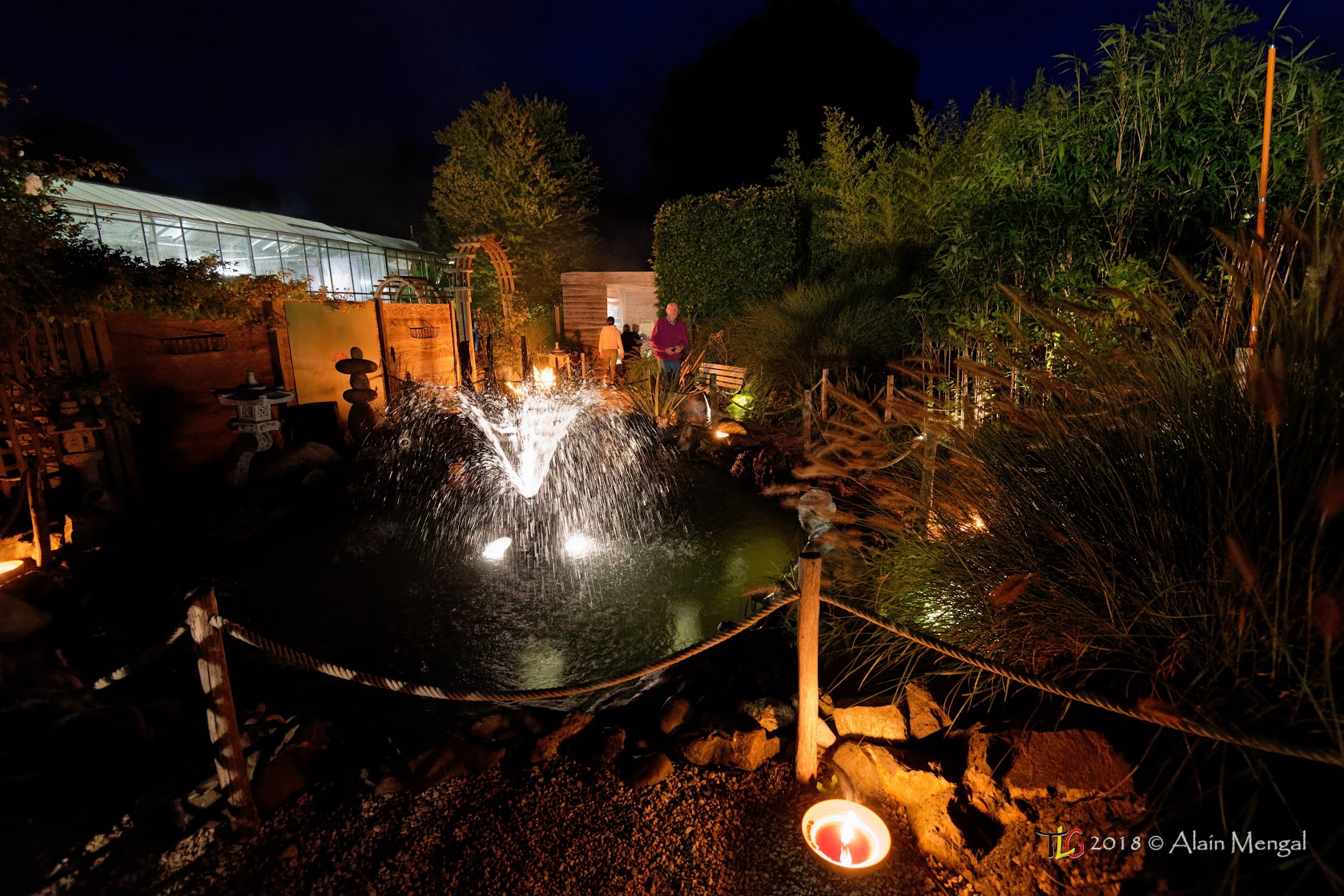 Éclairage de bassin : idées lumineuses pour le bassin de jardin