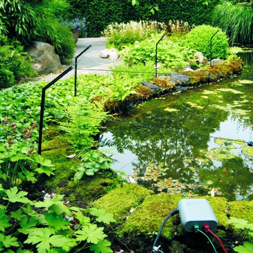 Anti-algues filamenteuses naturel pour bassins et piscines naturelles