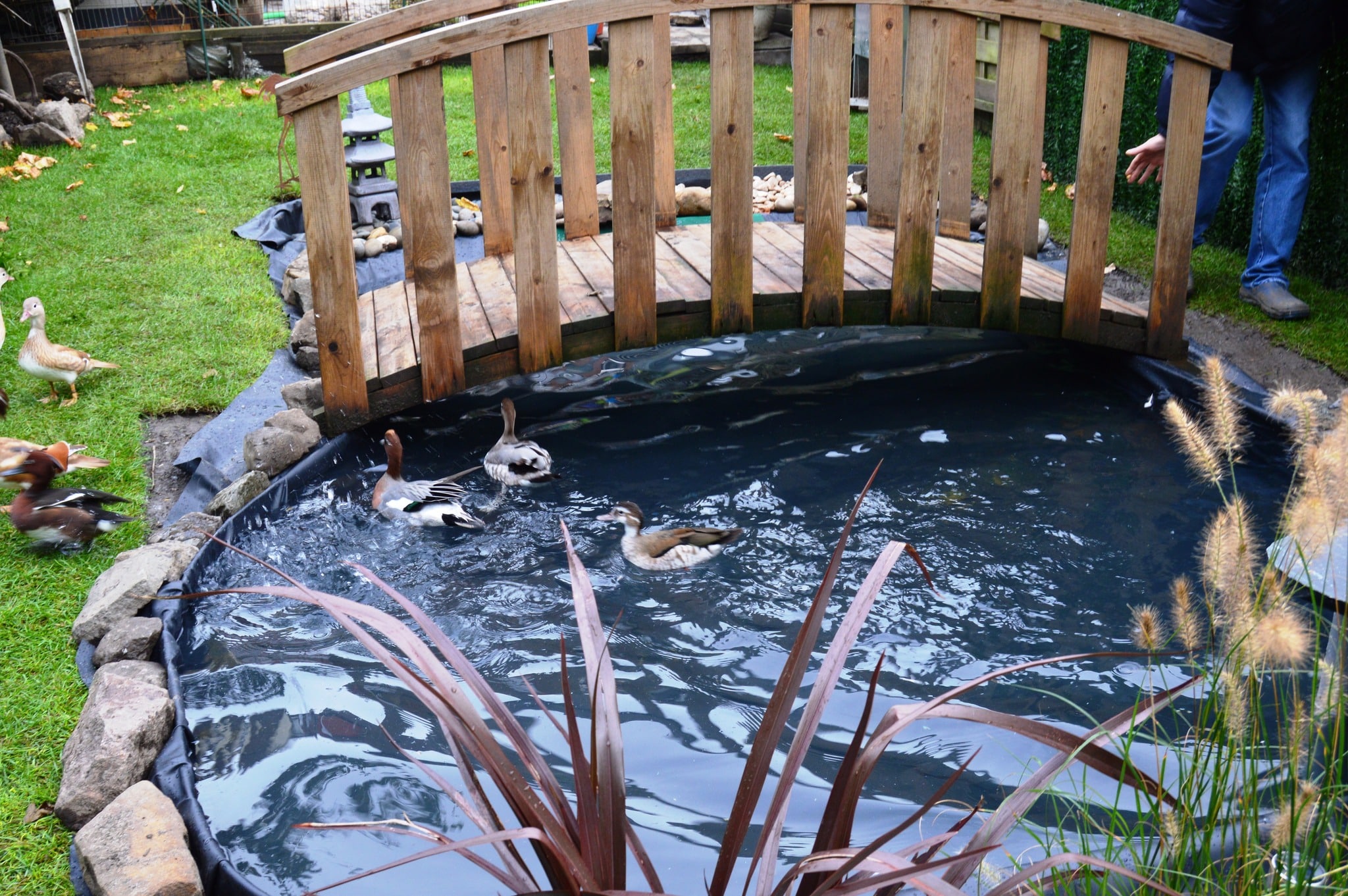 Filet de protection pour bassin et étang contre les oiseaux
