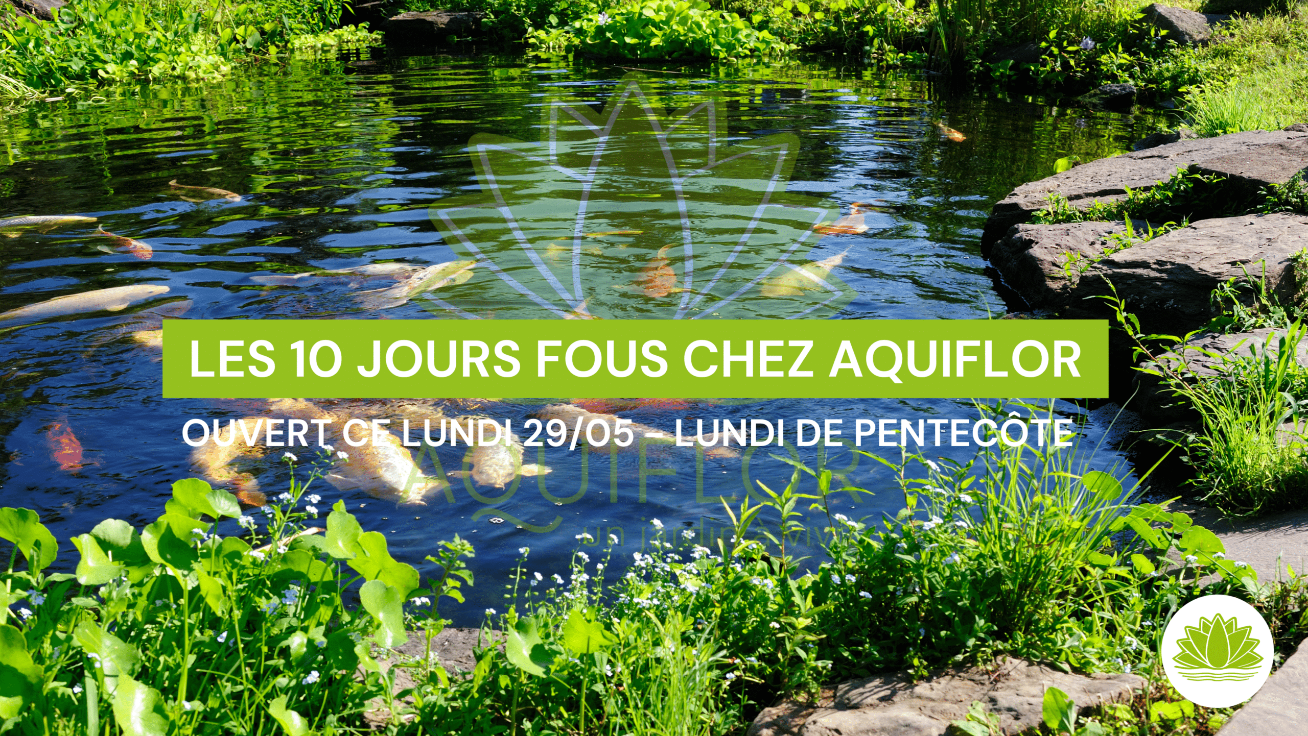 Conseils > Aquiflor - Jardinerie Aquatique