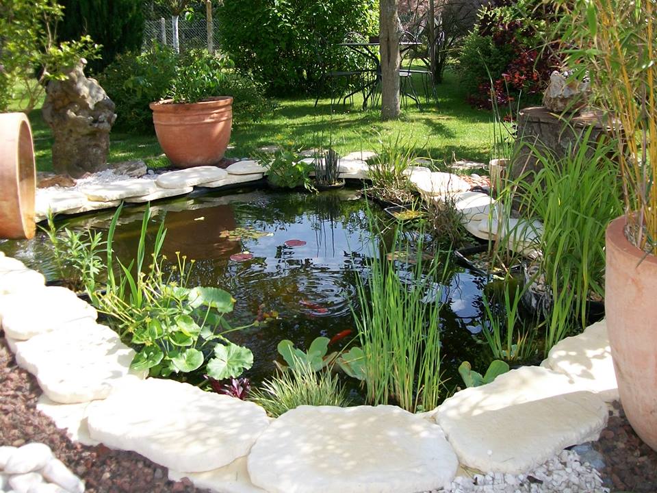 1 beau bassin pour mon jardin