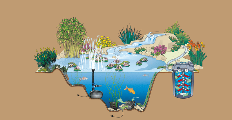 Comment choisir une pompe pour mon bassin? > Aquiflor - Jardinerie Aquatique