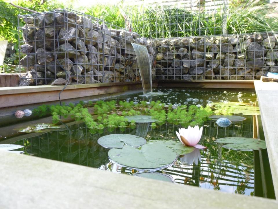 La pose d'un bassin préformé pour créer un étang dans son jardin > Aquiflor  - Jardinerie Aquatique